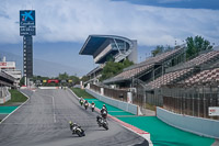 Gold Group Multicolour Bikes